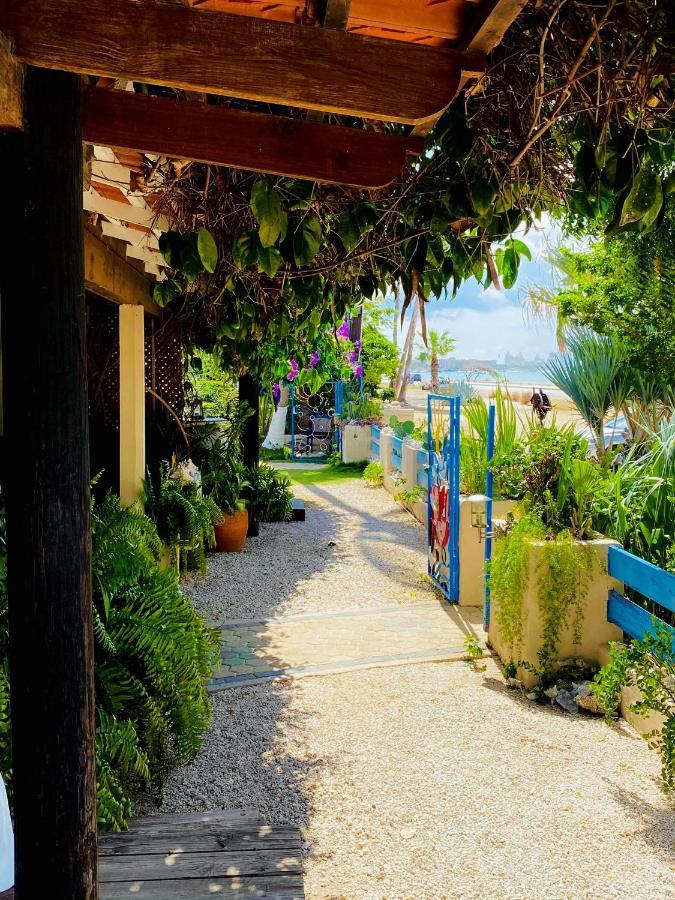 Aruba Sunset Beach Studios 팜비치 외부 사진