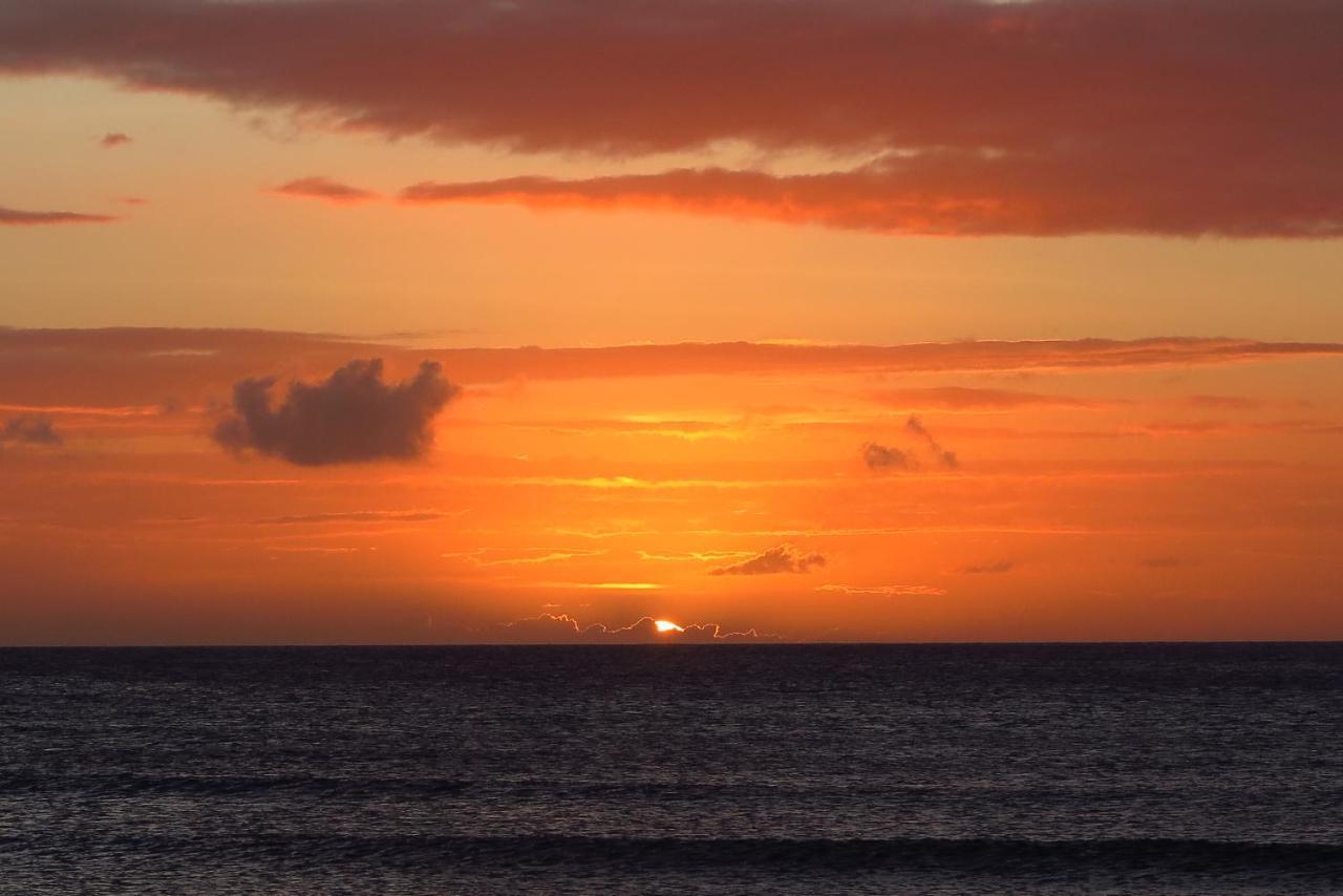 Aruba Sunset Beach Studios 팜비치 외부 사진