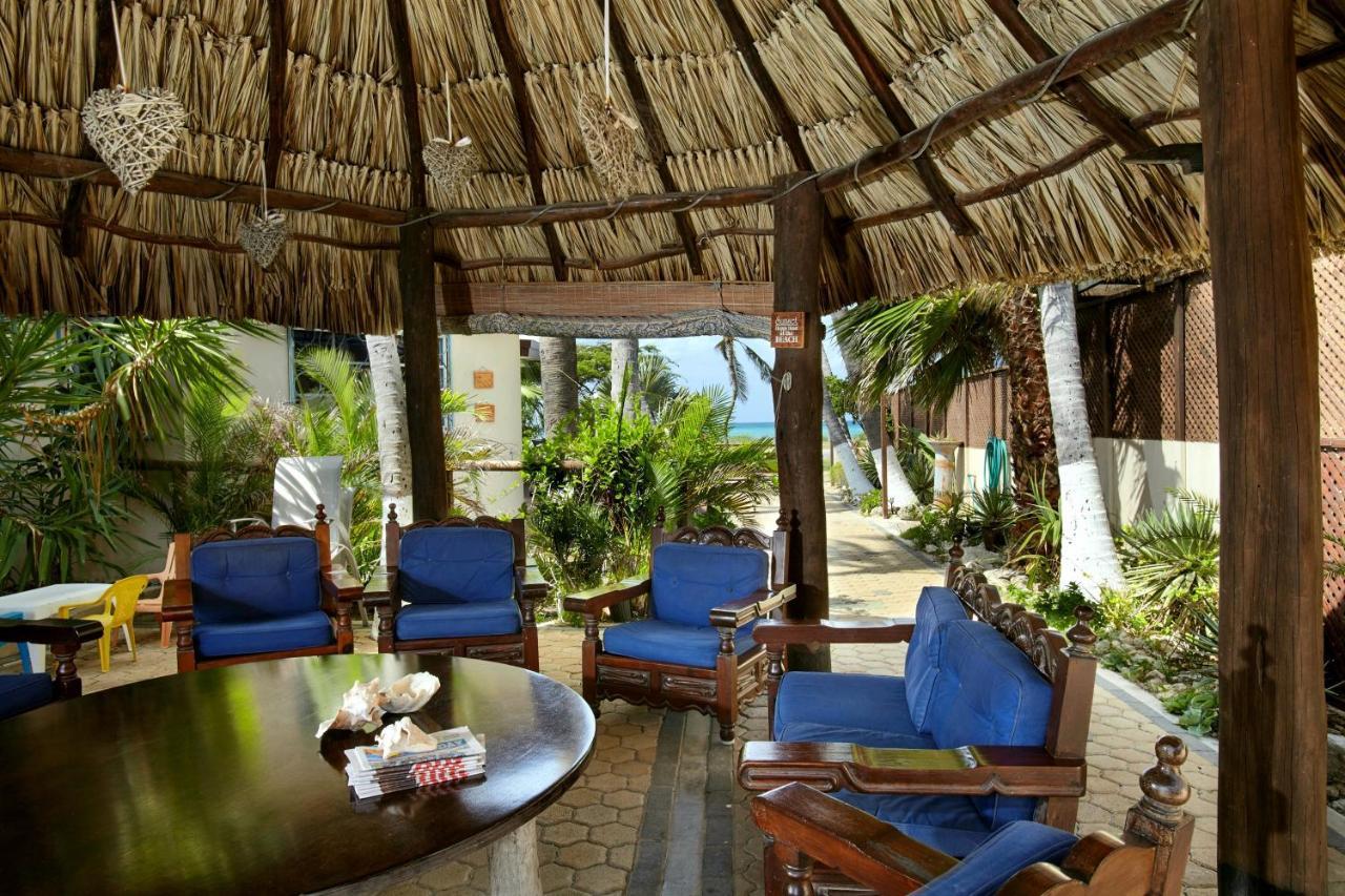 Aruba Sunset Beach Studios 팜비치 외부 사진