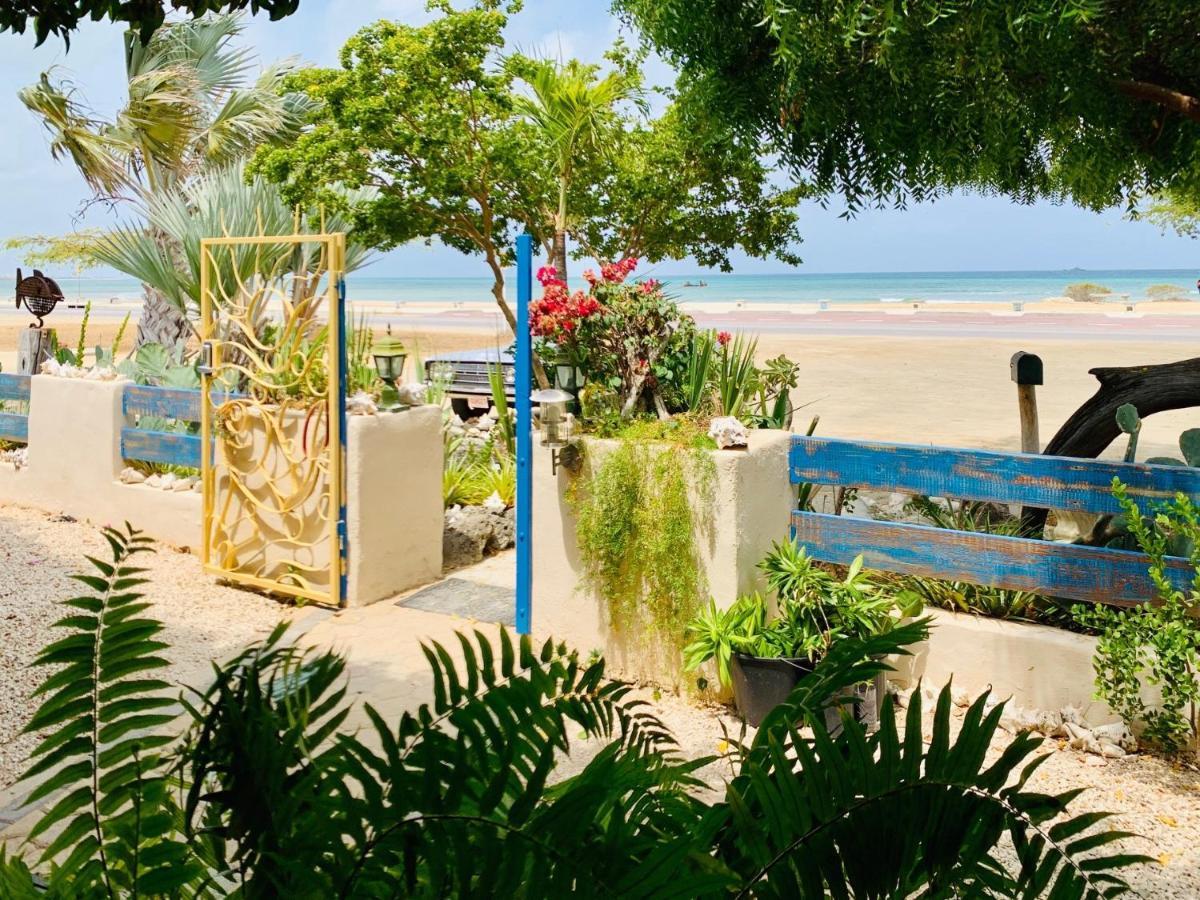Aruba Sunset Beach Studios 팜비치 외부 사진