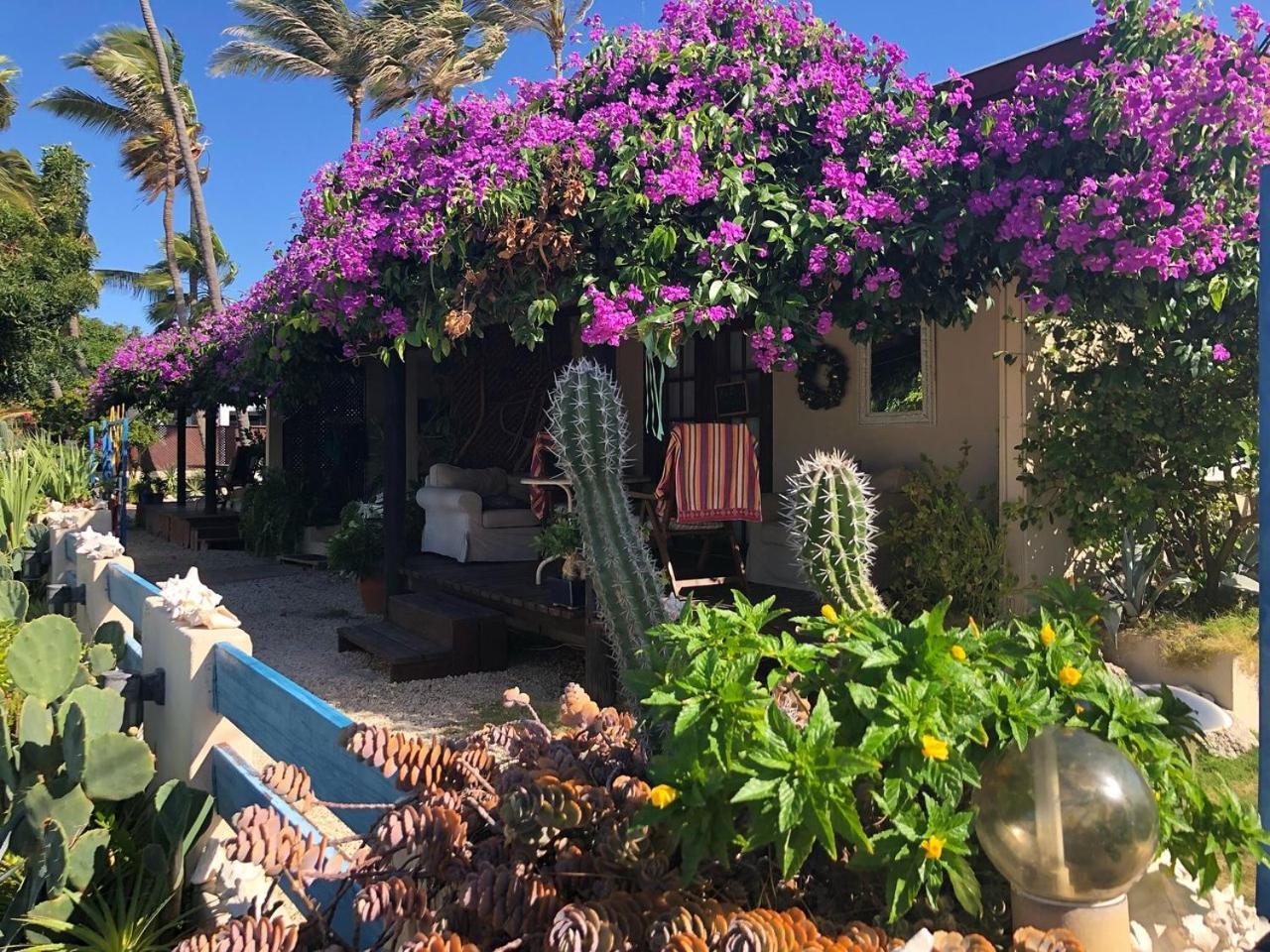 Aruba Sunset Beach Studios 팜비치 외부 사진