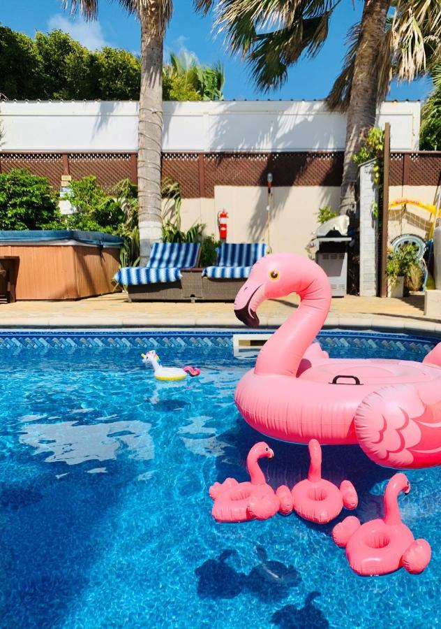 Aruba Sunset Beach Studios 팜비치 외부 사진
